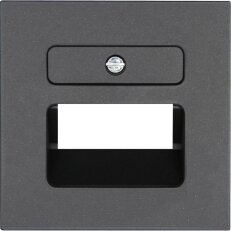371715181 UAE cover plate for UAE connec