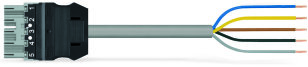 Konektor s připojovacím kabelem Cca 5pól. WAGO 771-9395/266-303