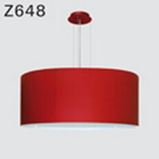 Závěsné svítidlo DEOS Z648cLCI.128/A3S3 LED PANEL 4000K, akryl