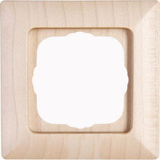 306539000 HK02 - cover frame for vertica