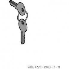 Schneider ZBG455P Sada Ochranná krytka + náhradní klíče ( obsahuje 2 ks )
