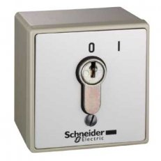 Schneider XAPS11111N Kovová skříňka