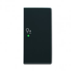 ABB Future linear,Solo Kryt 2nás pravý symbol stmívání antracitová SRD-2-R-81