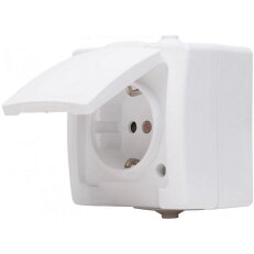 107802006 Earthed socket outlet with hin