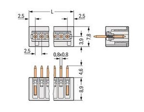 Konektor s pájecími piny THT pájecí kontakt 0,8x0,8 mm rovné světle šedá 2pól.