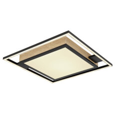 Stropní svítidlo JORRY černá LED 40W 230V, 230-2300lm CCT GLOBO 67283-40