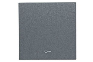 Kryt spínačů a ovladačů, symbol klíč, antracit SCHRACK EV112004--