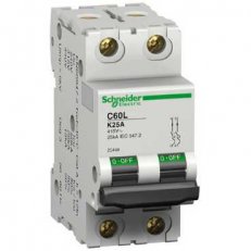 Schneider 25478 C60L jistič 2P 1A K
