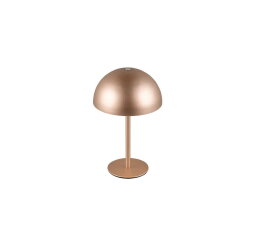 Svítidlo MUNOZ incl.1x1,3W LED/120Lm/300