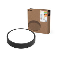 BULKHEAD ROUND DALI 300 P 15.5W 830 BK LEDVANCE 4099854286568