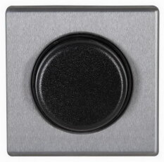 493320180 VISION - Cover plate for dimme