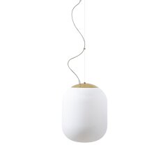 Závěsné LED svítidlo se skleněným stínidlem TANIA L1 HP 52W IP40 DALI 4K mosaz