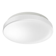 OUTDOOR ESSENTIAL 255 18W 830      LEDV
