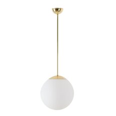 LED-5L06E300Z11/093/L100 MS DALI 4K#
