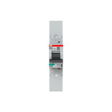 S801P-K100-R; 1 fázový jistič; jmenovitý