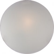 830250029003 Náhr.sklo 50cm 912255/84