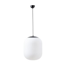 Závěsné svítidlo se skleněným stínidlem OSMONT TANIA S1 13W IP40 E27 černá