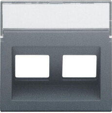 Kryt šikmý datazásuvky 2xRJ-STEEL GREY COATED NIKO 220-65400