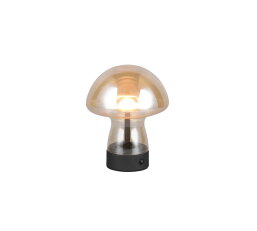 Svítidlo DOOLEY incl.1x1,5W LED/140Lm/30