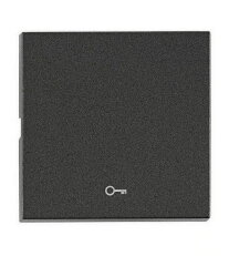 Kryt spínačů a ovladačů, symbol klíč, antracit SCHRACK EV112204--