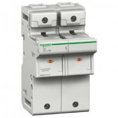 Schneider MGN15716 SBI 2P 22x58 500/660V