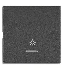 Kryt spínačů a ovladačů s průhledem, symbol světlo, antracit SCHRACK EV112209--