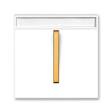 Kryt vypínače s páčkou, popis polem 3559M-A00610 43 bílá/ledová oranžová Neo ABB