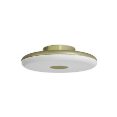 Přisazené LED svítidlo s plastovým stínidlem OSMONT ZETA 1 FP 31W IP40 4K zlato