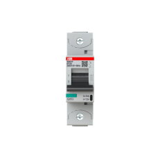 S801P-K125; 1 fázový jistič; jmenovitý p