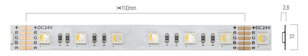 XSTRIP RGB+WW IP20 5m/reel LEDS STRIP 14