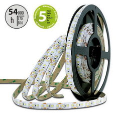 LED pásek SMD2835 CW, 120LED/m, 14W/m, 1355lm/m, IP20, DC 12V, 10mm, 5m