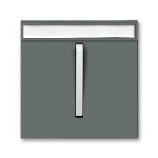 Kryt vypínače s páčkou popis polem 3559M-A00610 61 grafitová/ledová bílá Neo ABB