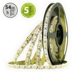 LED pásek SMD3528FM 180LED/m 14,4W/m 1562lm/m IP20 DC24V 10mm 50m (maso)