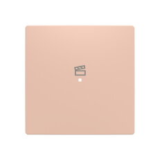ABB Zoni Kryt 1násobný symbol ''scény'' pudrová 6220T-A01003 242
