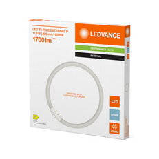 Světelný zdroj LED T5 FC EXTERNAL P 11.6W 865 2GX13 LEDVANCE 4099854300844