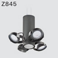 Závěsné svítidlo DEOS Z845cCCI.114/S3 LED COB 4000K, reflektor