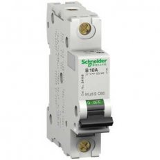 Schneider 17421 C60N jistič 1P 0,5A D UL