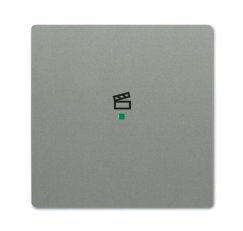ABB Solo Kryt 1násobný symbol scény metalická šedá SRS-1-803