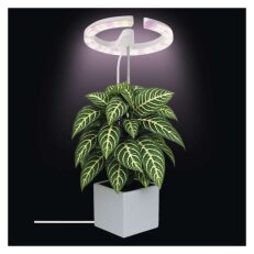 LED GROW pěstební lampa 8 W, časovač, stmívatelná, bílá EMOS Z7902
