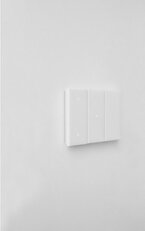 LIVING NOW OVLÁDAČ + AKTOR PRO OSVĚTLENÍ SE 2 RELÉ, SYSTÉM MYHOME, 1 MODUL