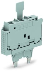 Pojistkový modul, Se sponkou, Pro pojistkovou vložku G 5 × 20 mm, Šedá