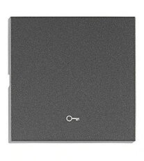 Kryt spínačů a ovladačů, symbol klíč, antracit SCHRACK EV112304--