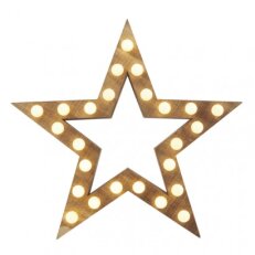 25LED XMAS STAR 2AA WW