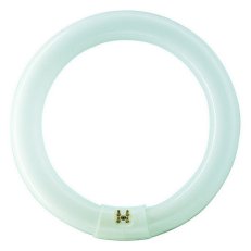 Kruhová zářivka PHILIPS MASTER TL-E Circular Super 80 22W/865 1CT