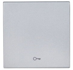 Kryt spínačů a ovladačů, symbol klíč, stříbrný SCHRACK EV122004--