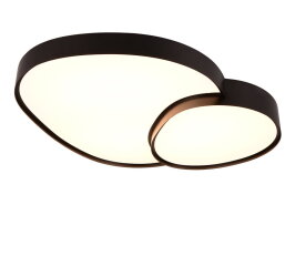 RISE incl.1x51W LED/5100Lm/2700 - 6500K