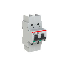 S802P-K125-R; 2 fázový jistič; jmenovitý