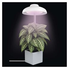 LED GROW pěstební lampa 5 W, časovač, bílá EMOS Z7901