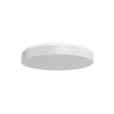 Přisazené LED svítidlo se skleněným stínidlem OSMONT CARINA 1 26W IP44 4K bílá