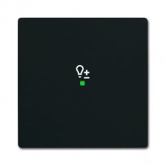 2CKA006220A0622 Kryt 1násobný, symbol